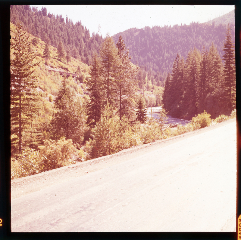 Color photo of the road near A. A. M. Arnold's property on Highway 10. There is a road that branches off from the highway that is surrounded by trees.
