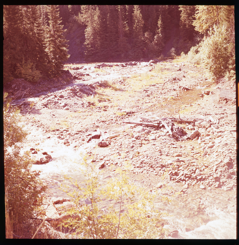 Color photo of a creek that runs on what is likely A. A. M. Arnold's property on Highway 10. The creek has a low level of water running through it, and it is surrounded by trees and bushes.