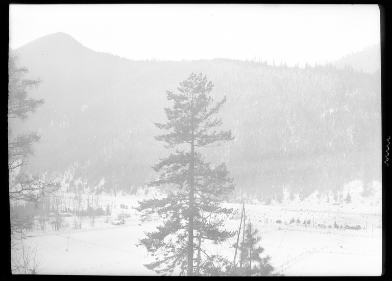 Photo of the city of Silverton, Idaho in the snow. The negative is overexposed, leading to most things behind the tree that sits directly in the middle of the photo to be washed out. Details beyond the tree are nearly impossible to make out, but everything appears to be covered in snow.
