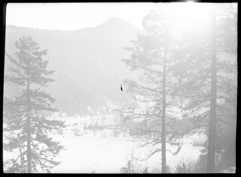 Photo of the city of Silverton, Idaho in the snow. The negative is overexposed, leading to most things being washed out. There are a few buildings on the right that are visible, and the trees in the foreground, but not much else.