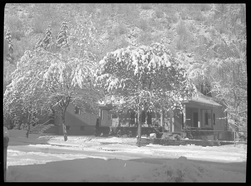 Photo of the Gyde home in the snow. The roof, ground, and surrounding trees all have a heavy layer of snow covering them. The house is mostly obscured by trees.