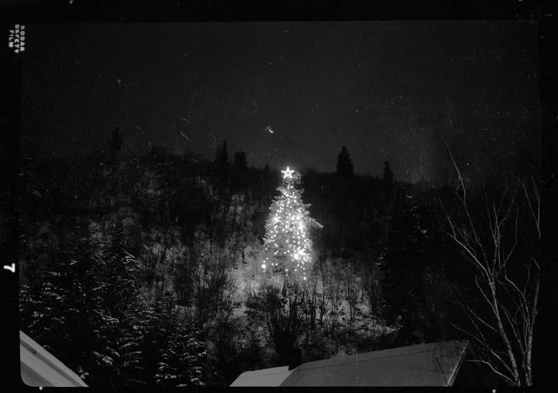 Photo of a decorated and lit up Christmas tree outside in a wooded area. The light from the tree illuminates some of the surrounding area, but not much detail can be made out. There appears to be snow on the ground.