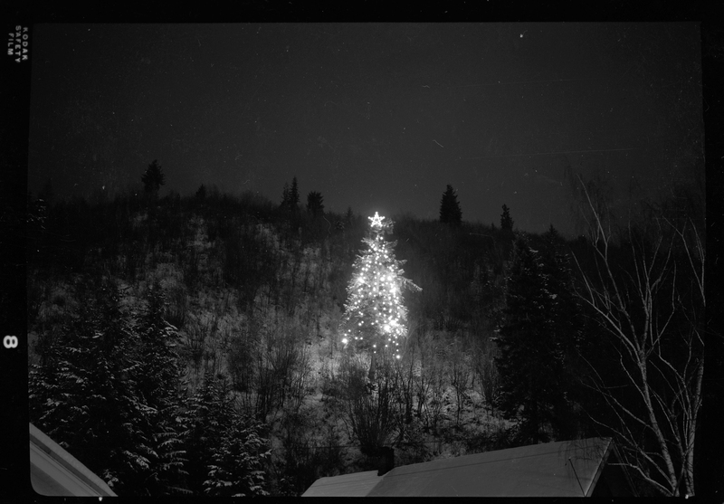 Photo of a decorated and lit up Christmas tree outside in a wooded area. The light from the tree illuminates some of the surrounding area, but not much detail can be made out. There appears to be snow on the ground.