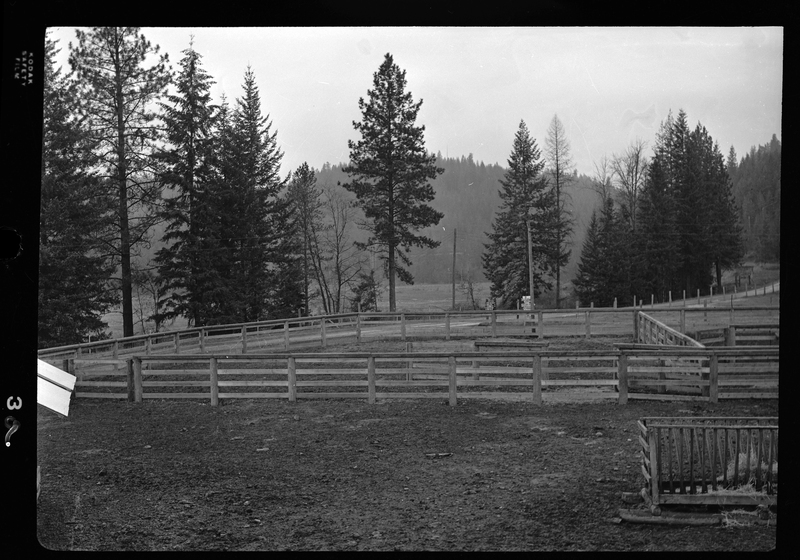 Scene from Revelli Ranch. There is an empty livestock pen in front of the photographer and trees in the background.