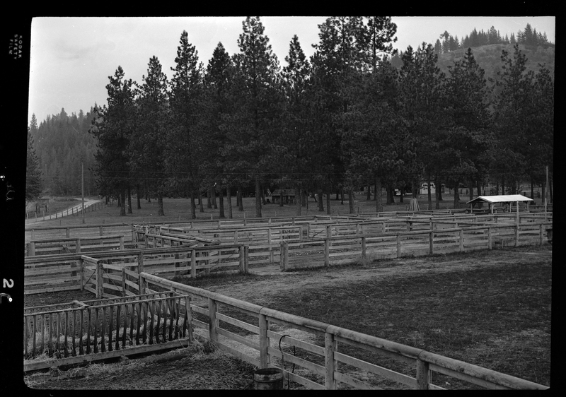 Scene from Revelli Ranch overlooking several empty livestock pens and the trees in the background.