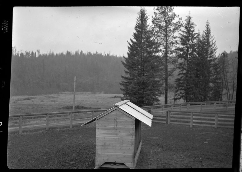 Scene from Revelli Ranch. The photographer is standing inside of an empty animal pen with a small structure in front of him, possibly a chicken coop. Trees are visible in the background.