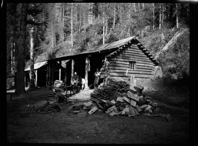 Photo of a log cabin in a wooded area. There are two unidentified men outside and a dog. There is a large pile of cut up wood logs on the ground next to the cabin.