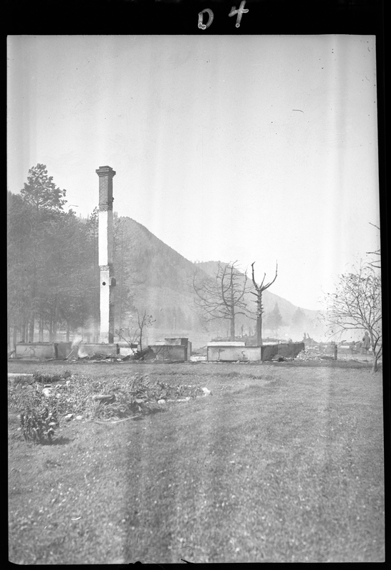 Photo of an unidentified outdoor scene. There appears to be a chimney standing in an open space, and a few trees in the area as well.