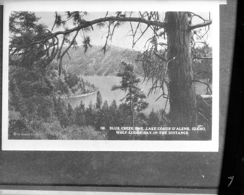 Photo of a photo that is labelled as "Blue Creek Bay. Lake Coeur d'Alene, Idaho; Wolf Lodge Bay in the Distance." In the photo part of Lake Coeur d'Alene is visible and there are many trees.