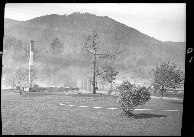 Photo of an unidentified outdoor scene. There appears to be a chimney standing in an open space, and a few trees in the area as well. The trees are leaning to the right from what is likely wind blowing against them.
