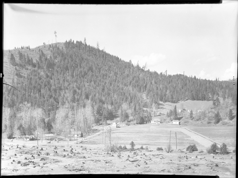 Photo of the Strope Addition to the west side of Wallace, Idaho. There is a open field with a handful of houses and trees pictured.