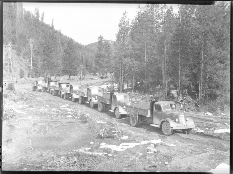 Photo of a line of trucks parked outside at the Truck Loading Station. Previously described as "bunn loading station." There are trees in the background.