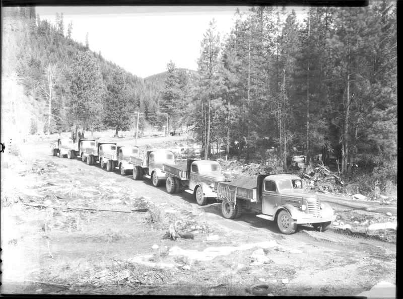 Photo of a line of trucks parked outside at the Truck Loading Station. Previously described as "bunn loading station." There are trees in the background.