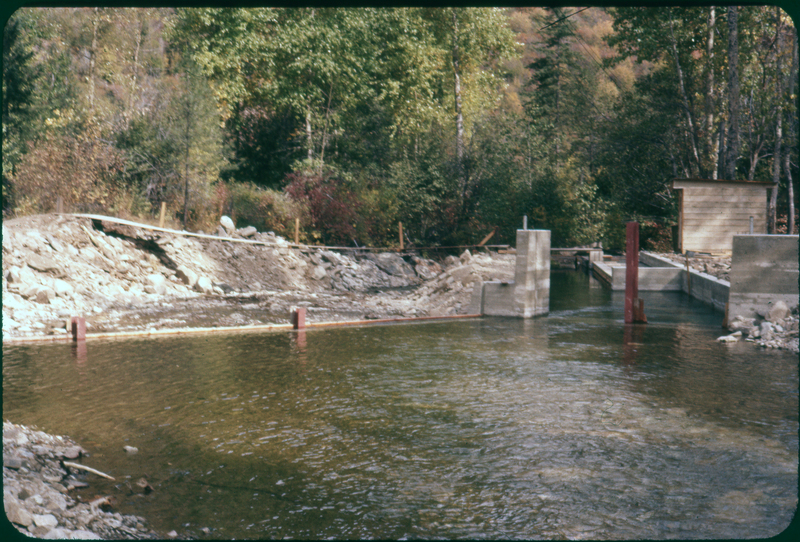 Color photo of a small body of water, probably a canal. There are trees in the area. 