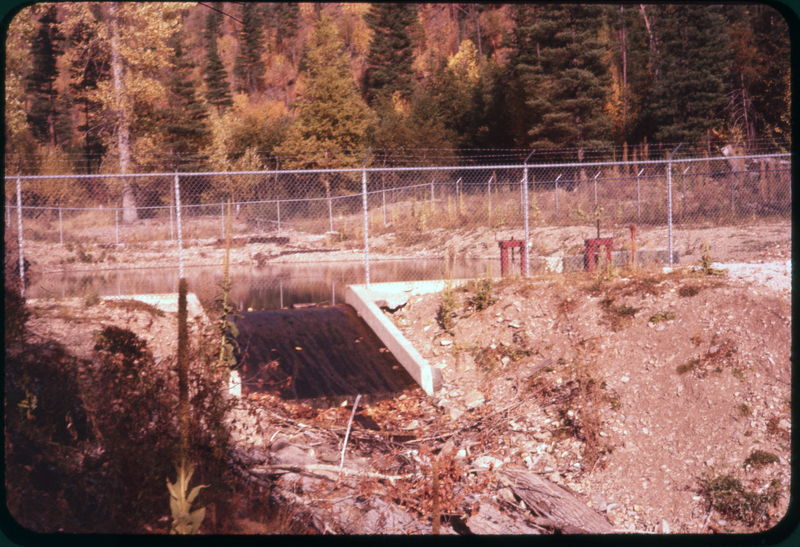Color photo of a small body of water, probably a canal. There are trees in the area. The water source is fenced in.