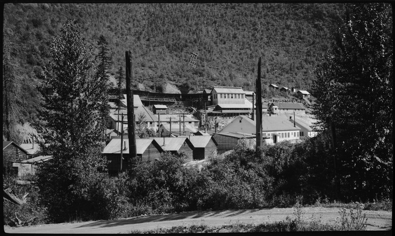 Exterior photo of an unidentified mining complex. Many buildings are visible just beyond the tree line.