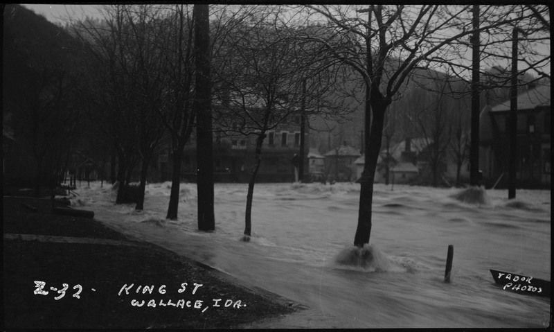 Floodwaters rush through King Street during the Wallace flood. Several houses appear to be damaged.