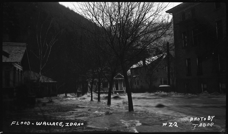 Floodwaters rush between buildings, against a line of trees during the Wallace flood.
