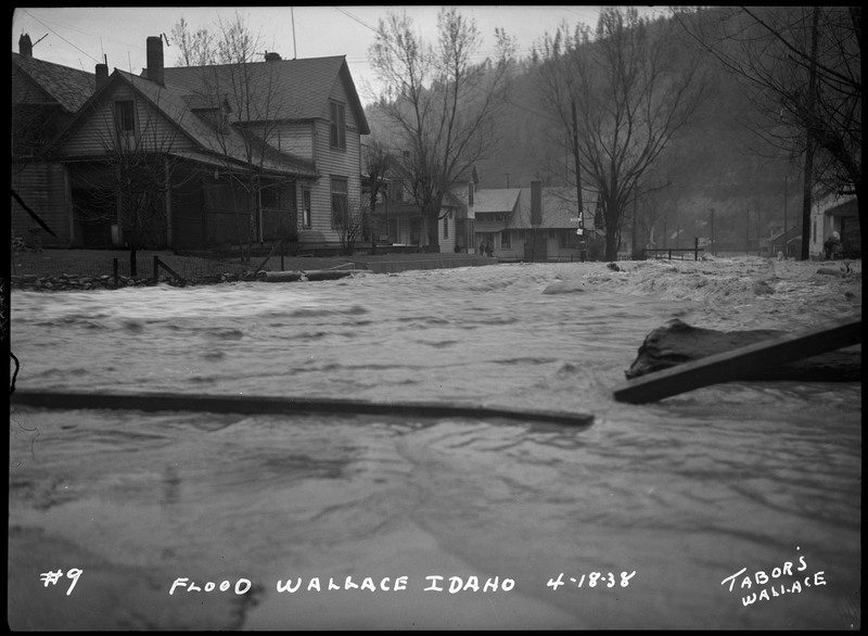 Water rushes near several buildings during the Wallace flood. There are several trees and telephone poles in the background.