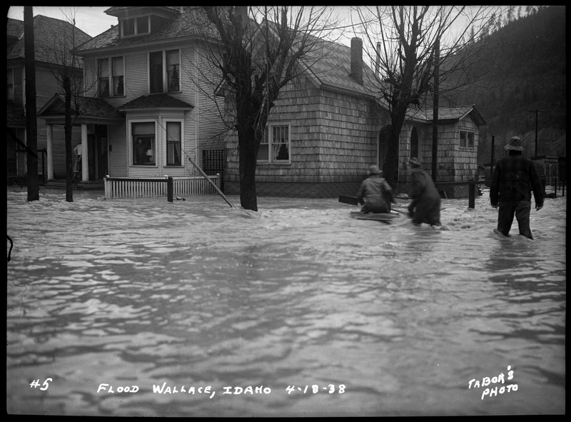 People wade through the flood waters towards a house during the flood in Wallace. There are also several trees and telephone poles in the background.