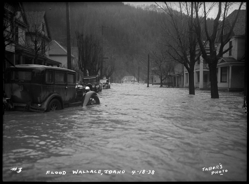 A view of a neighborhood street during the Wallace flood. There are a few cars parked on the side of the road and several trees and houses are in view.