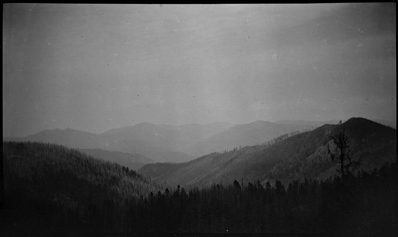 View of a smoky landscape depicting dense forest around the time of the 1910 Wallace fire.