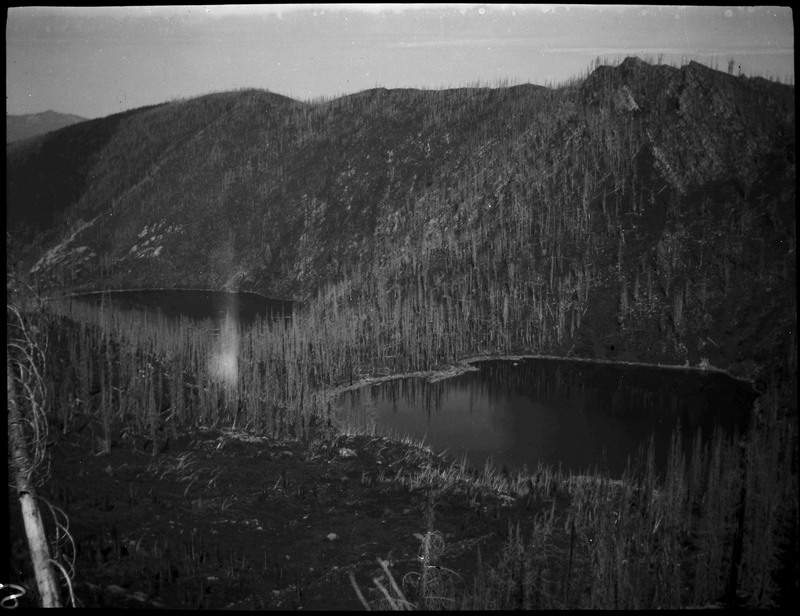 View of two bodies of water and scorched trees around the time of the 1910 Wallace fire.