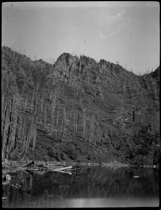 View of landscape depicting scorched trees following the 1910 Wallace fire.