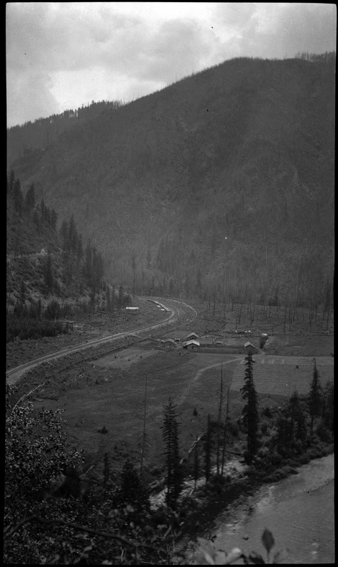 View of a road and forested area after 1910 Wallace area. A few buildings can be seen.