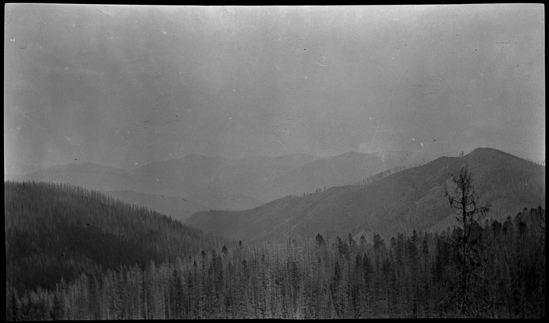 View of a smoky landscape depicting dense forest around the time of the 1910 Wallace fire.