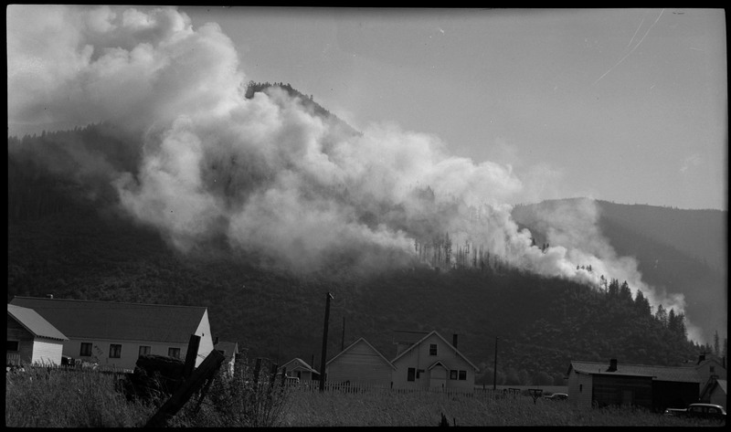 Smoke rises from the montane forest in the distance. Houses can be seen in the foreground.