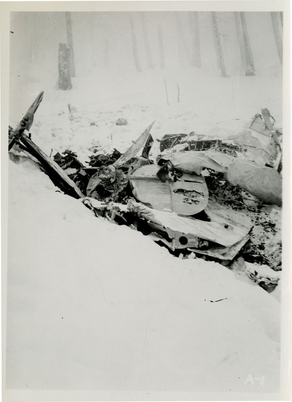 Debris from an airliner crash partially covered in snow. A few bare trees in the background.