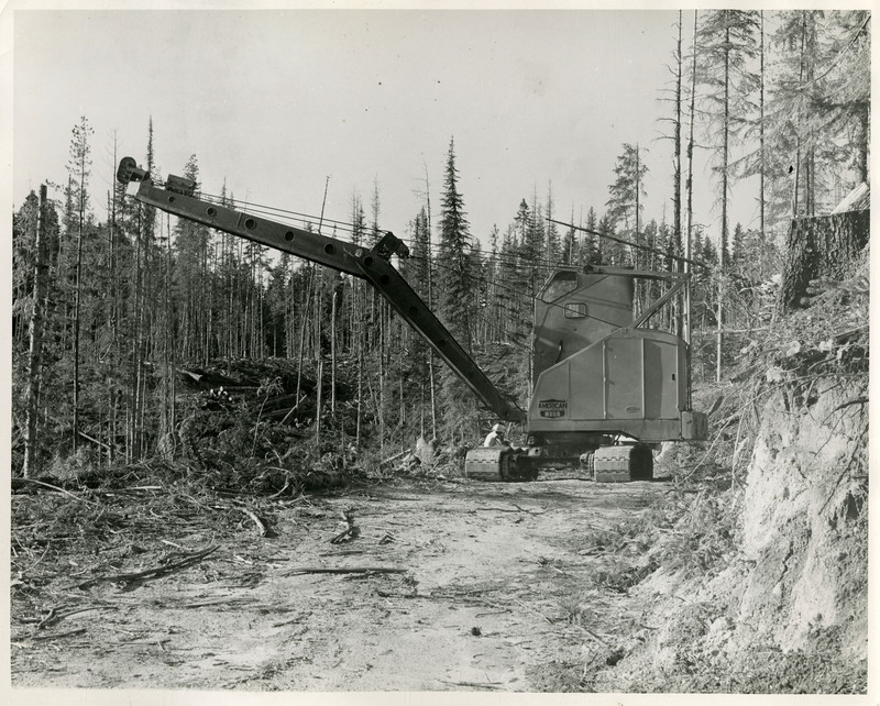 Logging machinery clearing out trees.