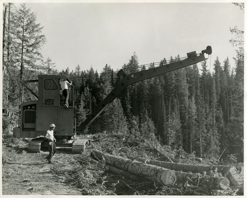 Two men work with logging equipment overlooking forest landscape. One man is standing on the equipment, while another worker stands in front of the logs.