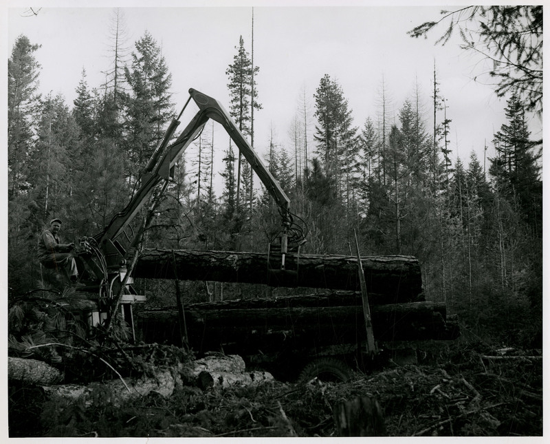 A man operating logging machinery which is picking up a log.