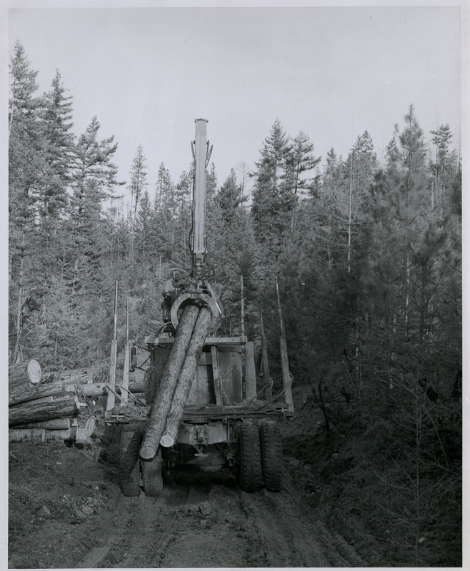 A man operating logging machinery as it picks up logs.