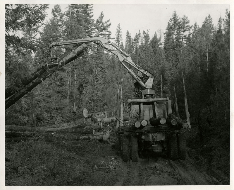 A man operating logging machinery as it picks up logs on the left.
