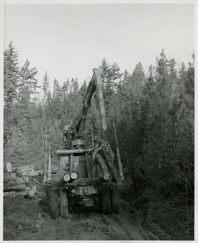 A man operating logging machinery as it picks up logs.