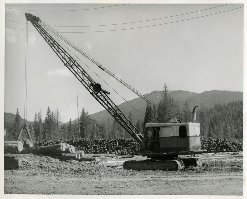 A man operating logging machinery in the foreground. Piles of logs and a mountain landscape in the background.