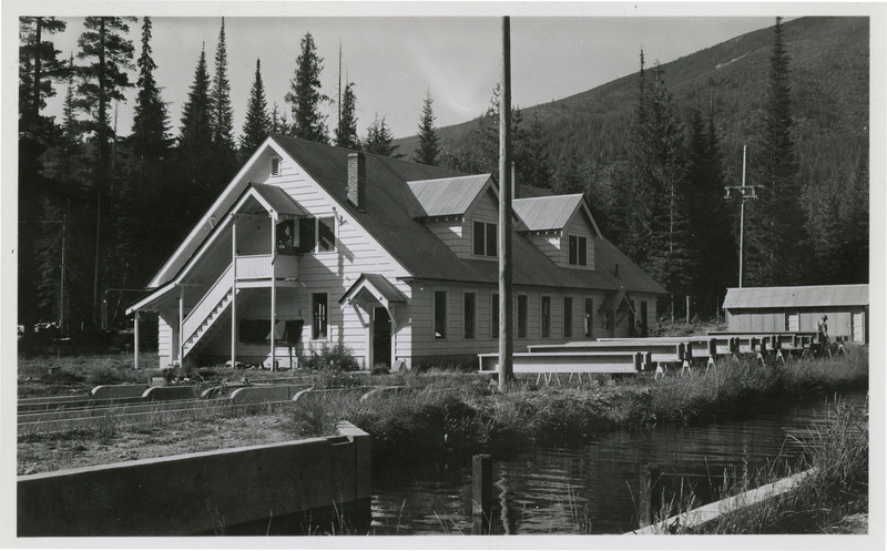 Shoshone Fish Hatchery near Pottsville in about 1938. A view of a building, trees and mountain in the background.