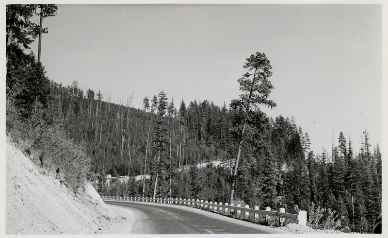 A view of an outdoor highway scene at an unidentified location.