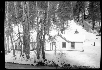 Photo of what appears to be a house in the snow. Described as "Standard Dairy, E. F. Gentry." There is a heavy layer of snow on the ground and the house is surrounded by trees.