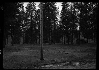 Scene from Revelli Ranch that shows several trees and a small building.