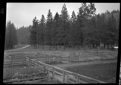 Scene from Revelli Ranch overlooking several empty livestock pens and a few buildings. There are also trees in the background.