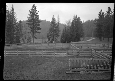 Scene from Revelli Ranch overlooking several empty livestock pens and some trees in the background.