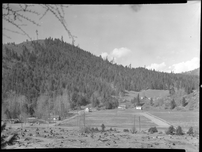 Photo of the Strope Addition to the west side of Wallace, Idaho. There is a open field with a handful of houses and trees pictured.