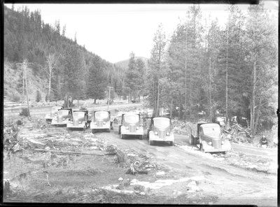 Photo of a line of trucks parked outside at the Truck Loading Station. Previously described as "bunn loading station." There are trees in the background.