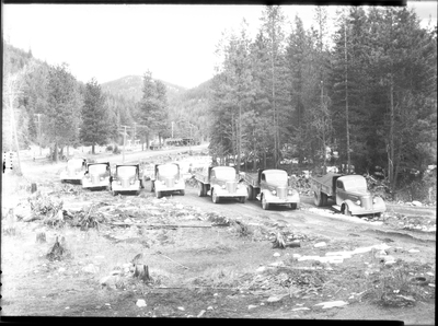 Photo of a line of trucks parked outside at the Truck Loading Station. Previously described as "bunn loading station." There are trees in the background.