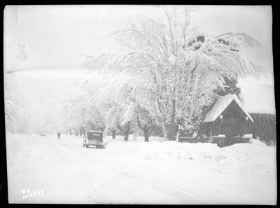 Photo looking down a snow covered street in Wallace, Idaho during an active snowstorm. The building that is visible and the large trees lining the street are covered in several inches of snow, and there are piles of snow along the street from previously being plowed. There are two cars driving on the road, and a person walking down it in the background.