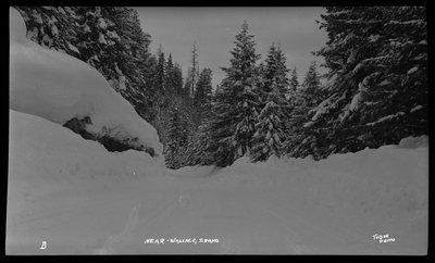 Photo of a snow scene in a wooded area near Wallace, Idaho. The ground and surrounding trees are covered in trees.